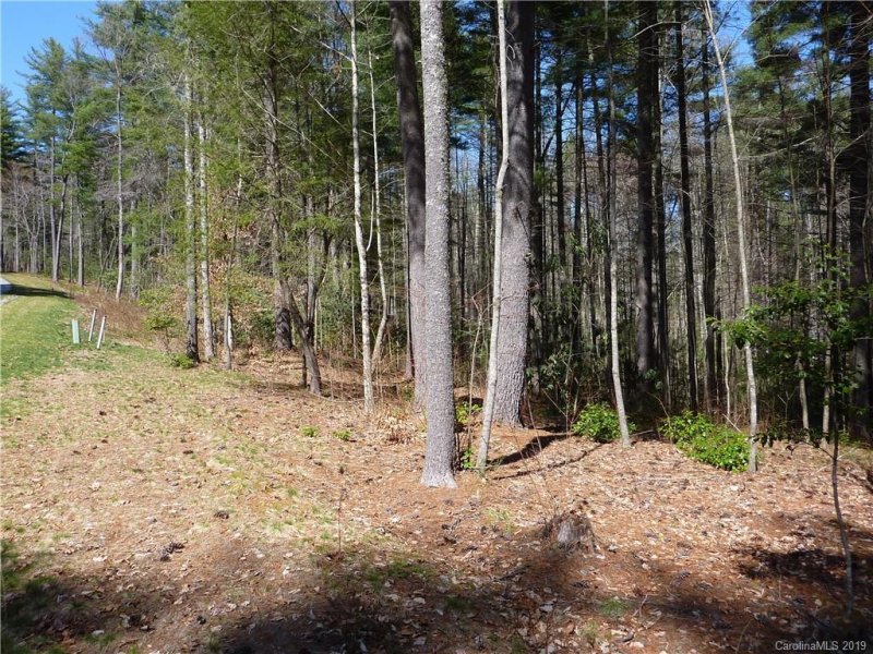 Property image 5 at 41 Mountain Brook Trail, Brevard, NC 28712