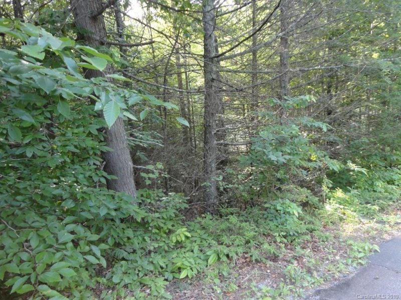 Property image 5 at Lot 28 Highlands Parkway, Nebo, NC 28761