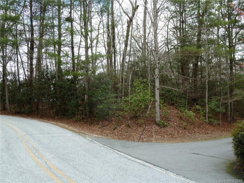 Property image 2 at 6 Falls View Drive, Pisgah Forest, NC 28768