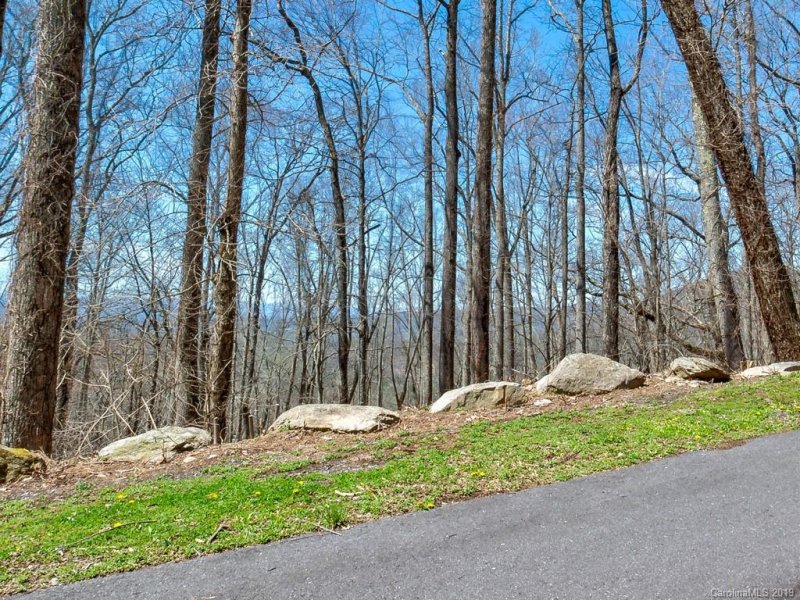 Property image 3 at 96 Castanea Mountain Drive, Asheville, NC 28803