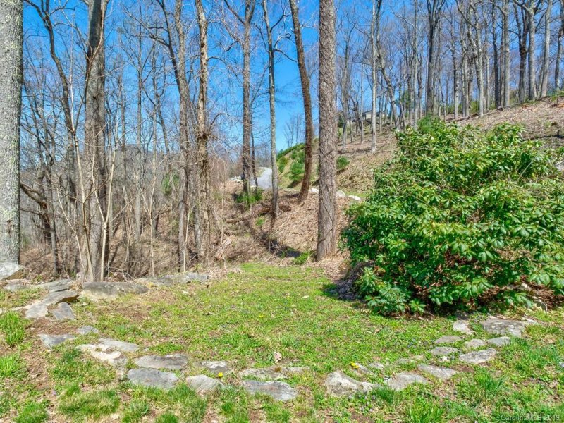 Property image 4 at 96 Castanea Mountain Drive, Asheville, NC 28803