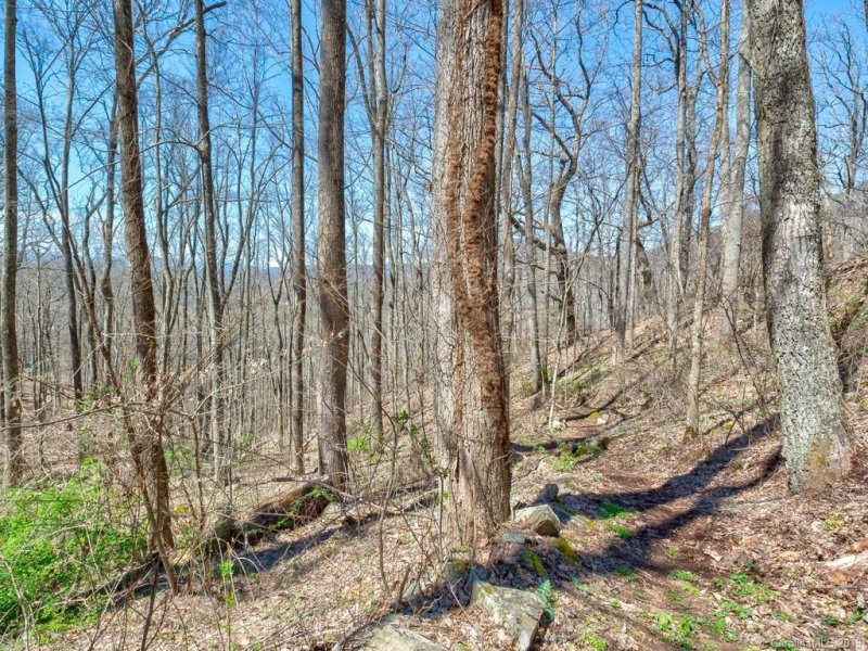 Property image 5 at 96 Castanea Mountain Drive, Asheville, NC 28803