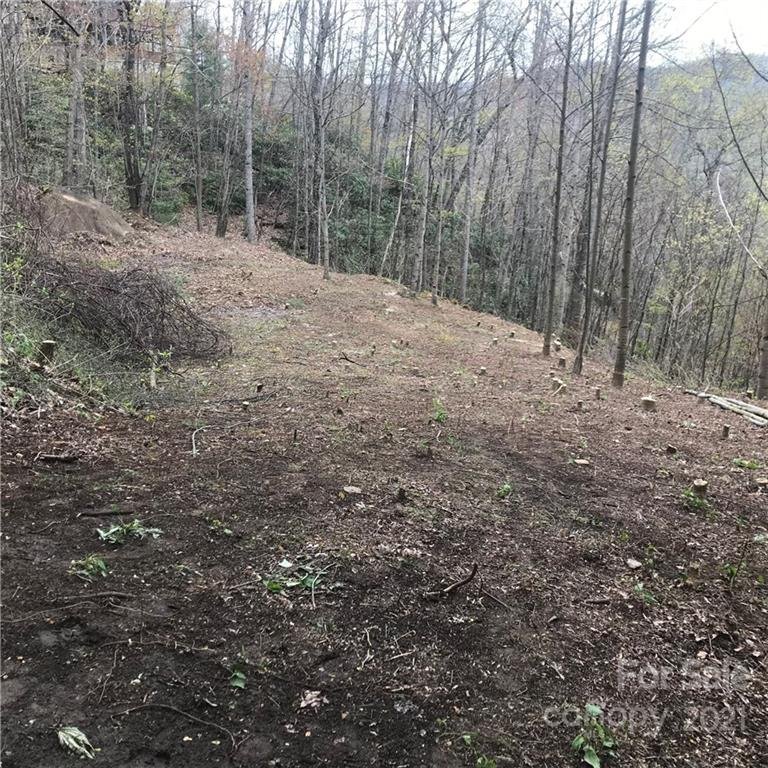 Property image 2 at 315 Valley View Drive, Maggie Valley, NC 28751