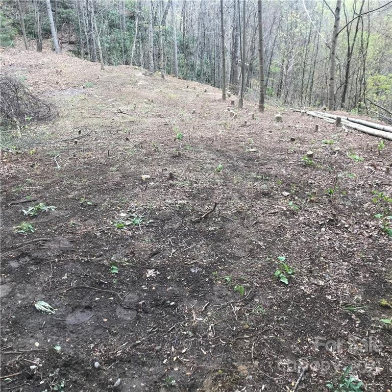 Property image 3 at 315 Valley View Drive, Maggie Valley, NC 28751