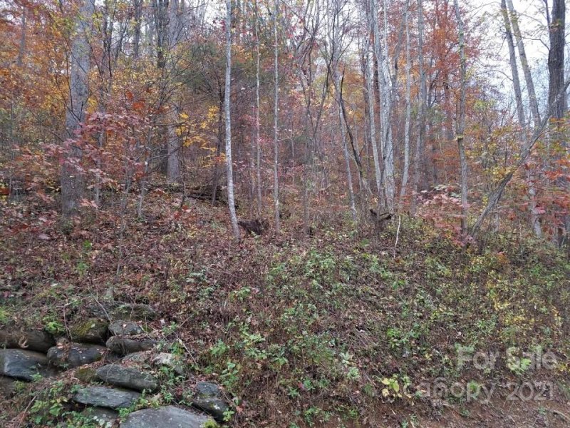 Property image 2 at Lot 17 Blue Ridge Drive, Marion, NC 28752