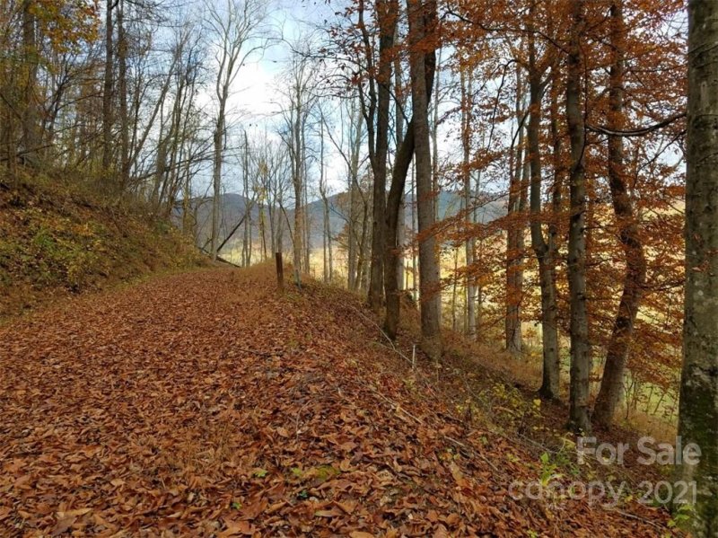 Property image 3 at Lot 17 Blue Ridge Drive, Marion, NC 28752