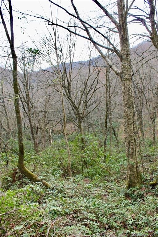 Property image 2 at Lot 27 Huckleberry Drive, Maggie Valley, NC 28751