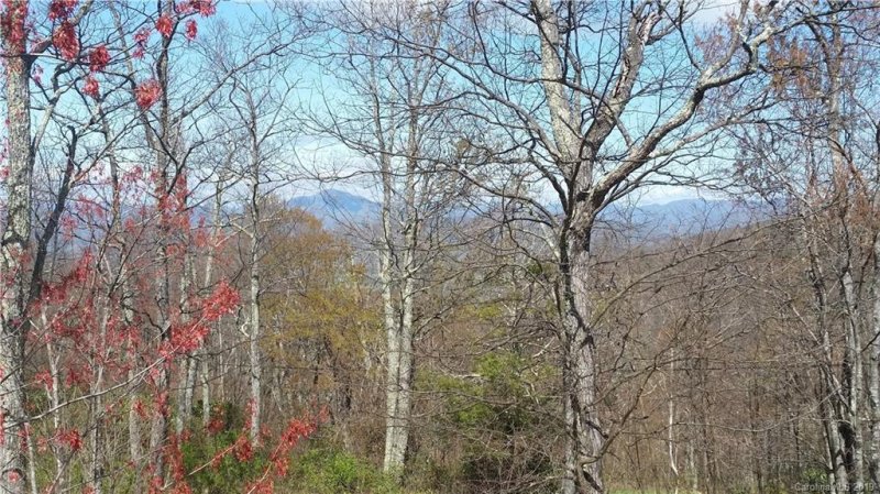 Property image 3 at 123 Chickadee Lane, Maggie Valley, NC 28751