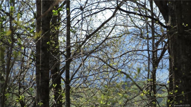 Property image 2 at Lot 104 Roadrunner Circle, Lake Lure, NC 28746