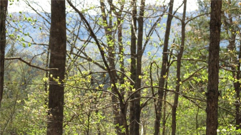 Property image 3 at Lot 104 Roadrunner Circle, Lake Lure, NC 28746