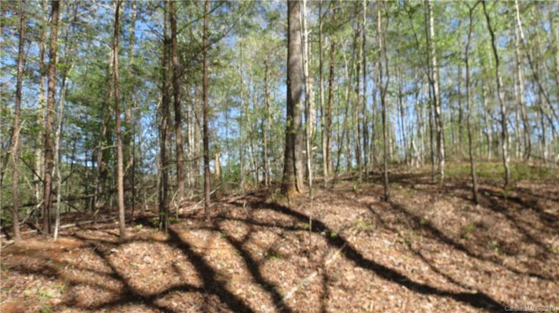 Property image 4 at Lot 104 Roadrunner Circle, Lake Lure, NC 28746