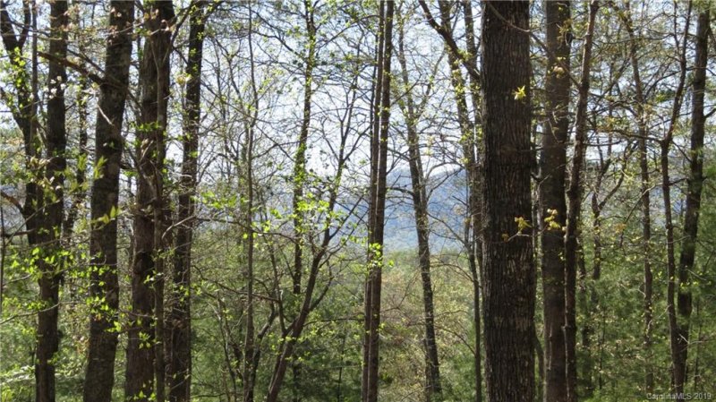 Property image 5 at Lot 104 Roadrunner Circle, Lake Lure, NC 28746