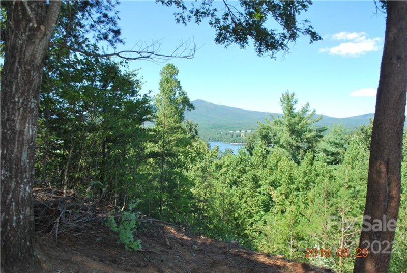 Property image 4 of 675 Harborside Drive in The Arbor at Lake James, Nebo, NC 28761
