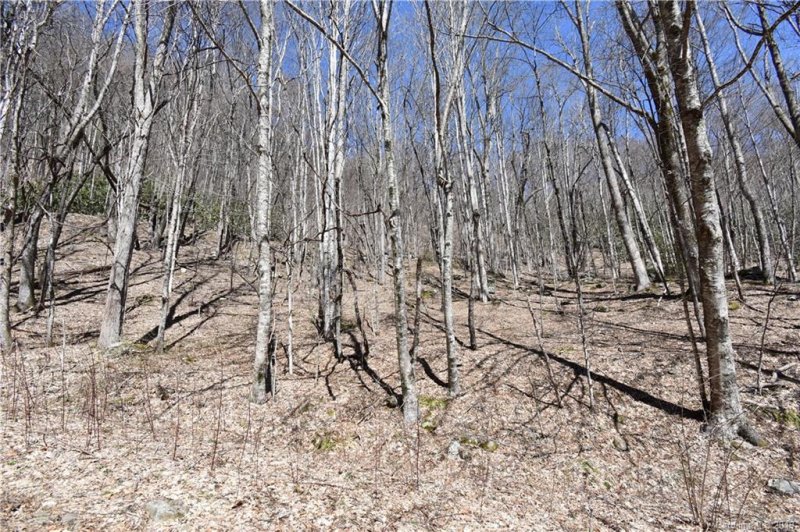 Property image 2 at 12 Sheepback Road, Maggie Valley, NC 28751