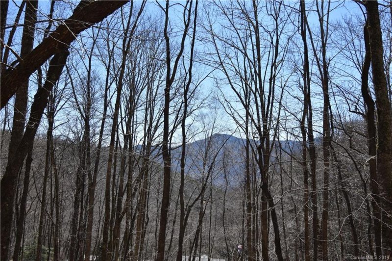 Property image 4 at 12 Sheepback Road, Maggie Valley, NC 28751
