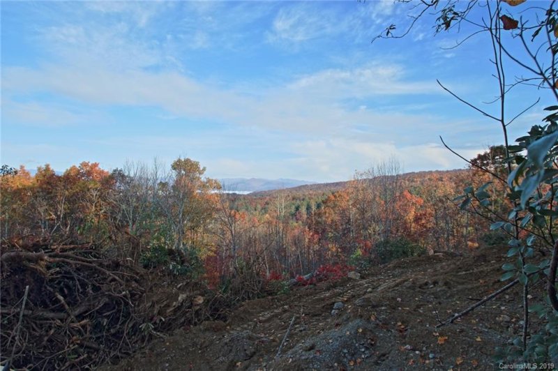 Property image 3 at 40 Falls View Drive, Pisgah Forest, NC 28768