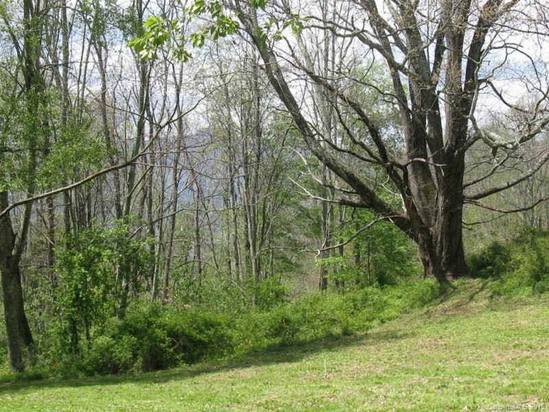 Property image 5 at Lot 61 Twisted Trail, Waynesville, NC 28786
