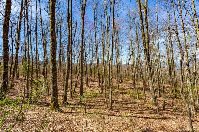 Property image 2 at Lot 23 Black Rock Road, Qualla, NC 28719