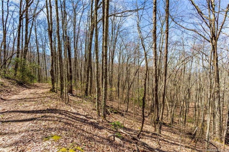 Property image 3 at Lot 23 Black Rock Road, Qualla, NC 28719