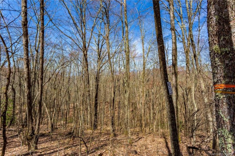 Property image 4 at Lot 23 Black Rock Road, Qualla, NC 28719