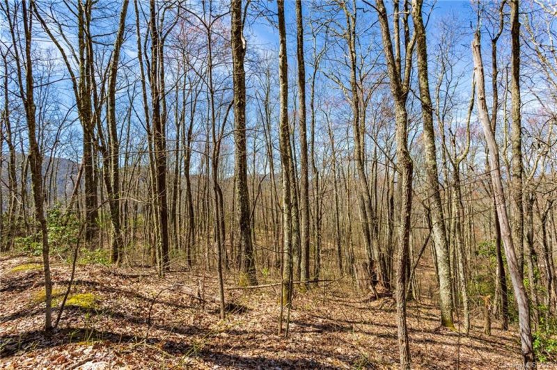 Property image 5 at Lot 23 Black Rock Road, Qualla, NC 28719