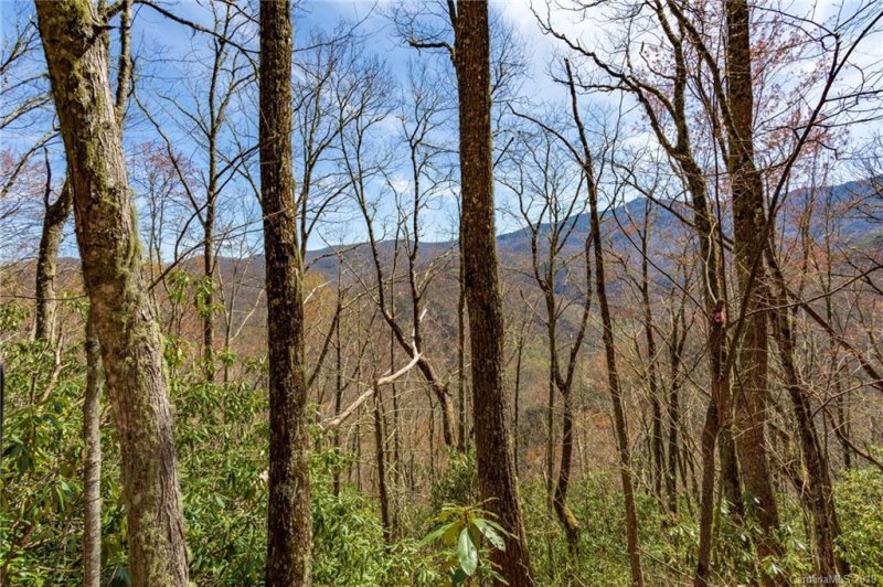 Property image 2 at Lot 24 Black Rock Road, Qualla, NC 28719