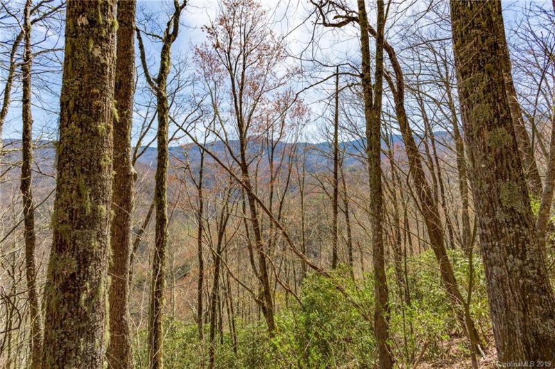 Property image 3 at Lot 24 Black Rock Road, Qualla, NC 28719