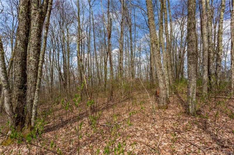 Property image 4 at Lot 24 Black Rock Road, Qualla, NC 28719