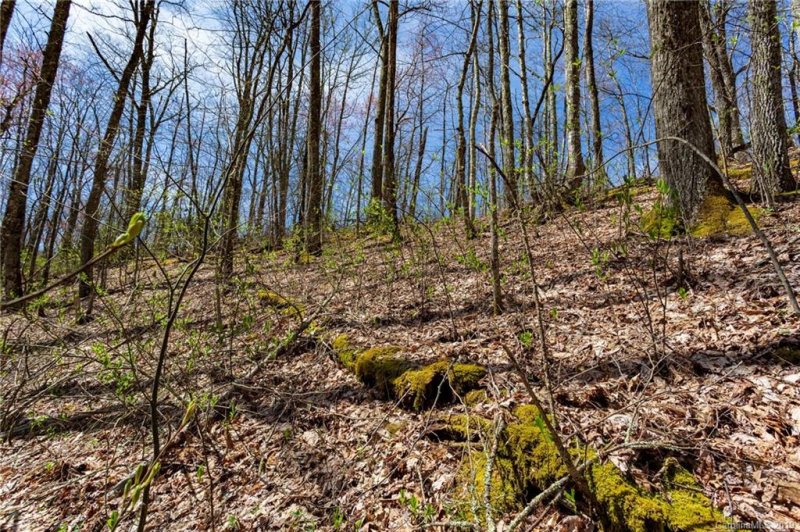 Property image 5 at Lot 24 Black Rock Road, Qualla, NC 28719