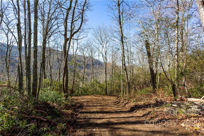 Property image 2 of Lot 81 Shangri Lane in Black Rock Creek, Qualla, NC 28719