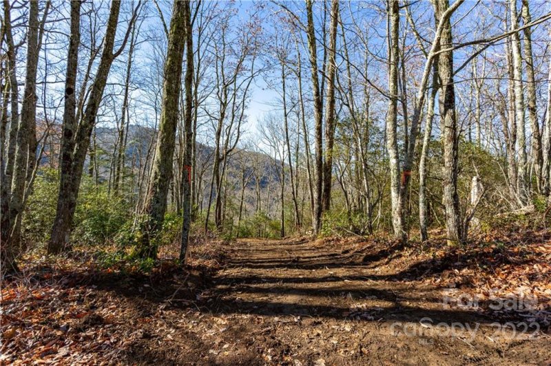 Property image 3 of Lot 81 Shangri Lane in Black Rock Creek, Qualla, NC 28719