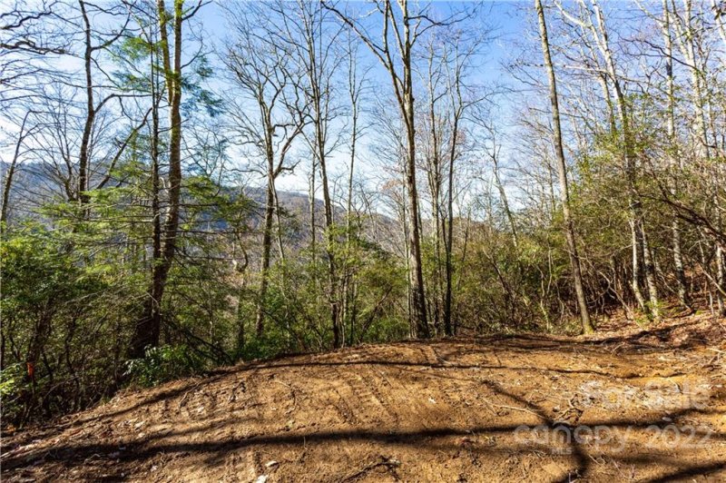 Property image 4 of Lot 81 Shangri Lane in Black Rock Creek, Qualla, NC 28719