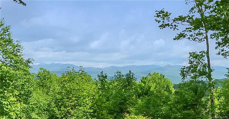 Property image 2 at 162 E Falls View Drive, Pisgah Forest, NC 28768