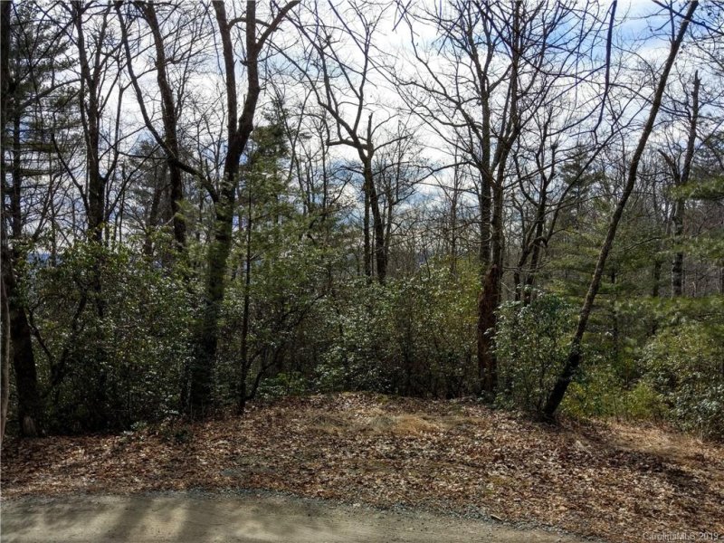 Property image 3 at 000 Dogwood Drive, Penrose, NC 28766