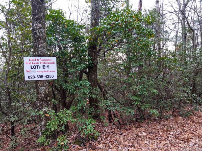 Property image 4 at 000 Dogwood Drive, Penrose, NC 28766