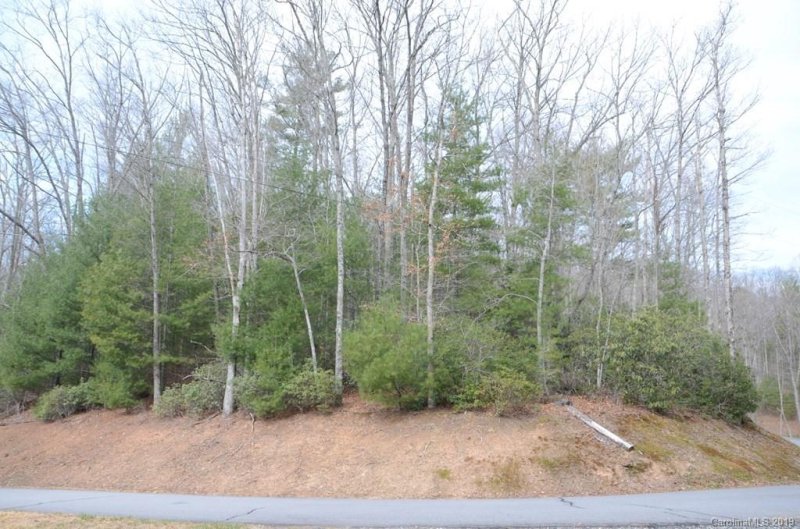 Property image 3 at 00 Clearwater Lane, Burnsville, NC 28714