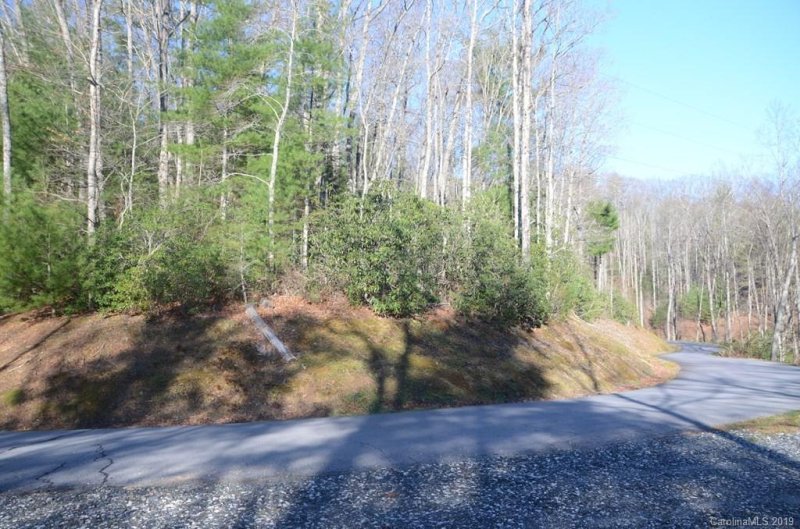 Property image 4 at 00 Clearwater Lane, Burnsville, NC 28714