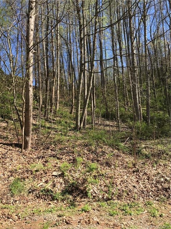 Property image 3 at 00 Bob White Loop, Waynesville, NC 28786