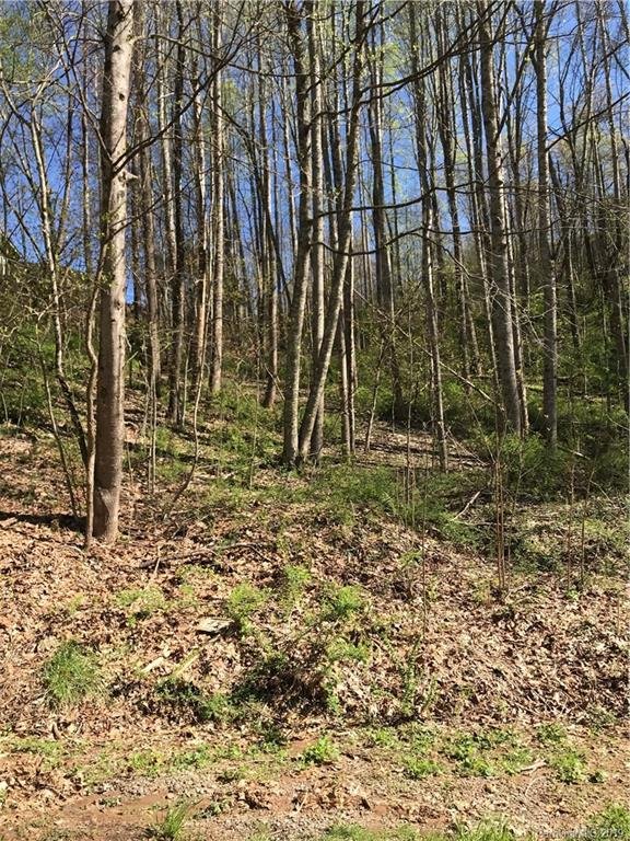 Property image 4 at 00 Bob White Loop, Waynesville, NC 28786