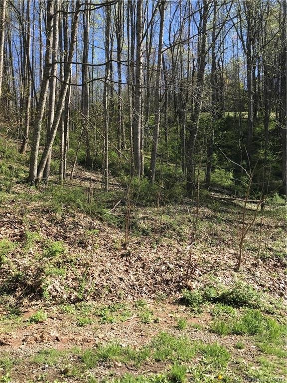 Property image 5 at 00 Bob White Loop, Waynesville, NC 28786