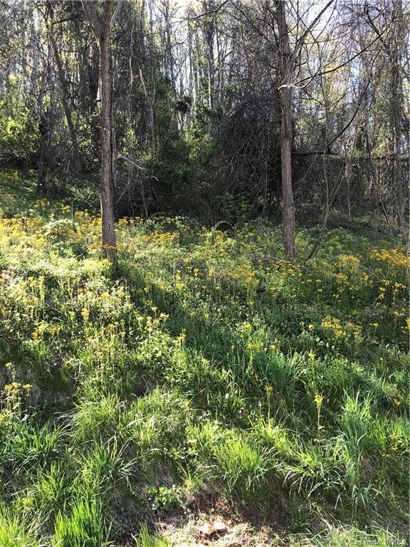 Property image 3 at 00 Bob White Loop, Waynesville, NC 28786