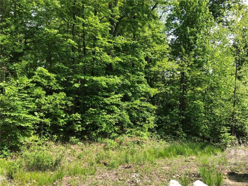 Property image 5 at Lot 67 Marshall Ridge Road, Hendersonville, NC 28792