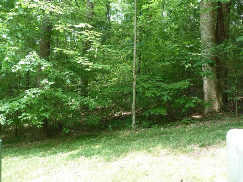 Property image 3 of 201 Bent Pine Trace in Champion Hills, Hendersonville, NC 28739