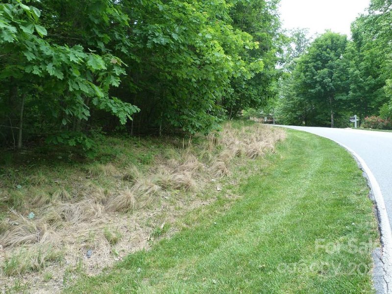 Property image 4 of 201 Bent Pine Trace in Champion Hills, Hendersonville, NC 28739