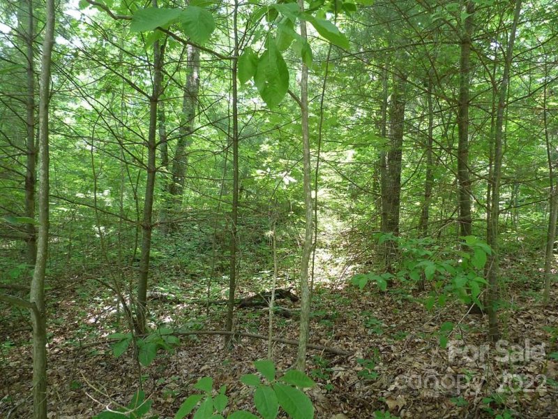 Property image 5 of 201 Bent Pine Trace in Champion Hills, Hendersonville, NC 28739