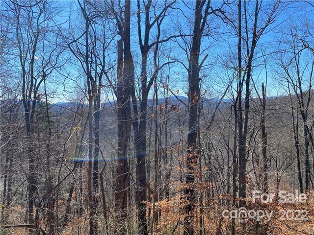 Property image 2 at Lot 58 Mountain Crest Drive, Marion, NC 28752