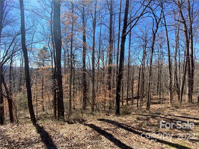 Property image 3 at Lot 58 Mountain Crest Drive, Marion, NC 28752
