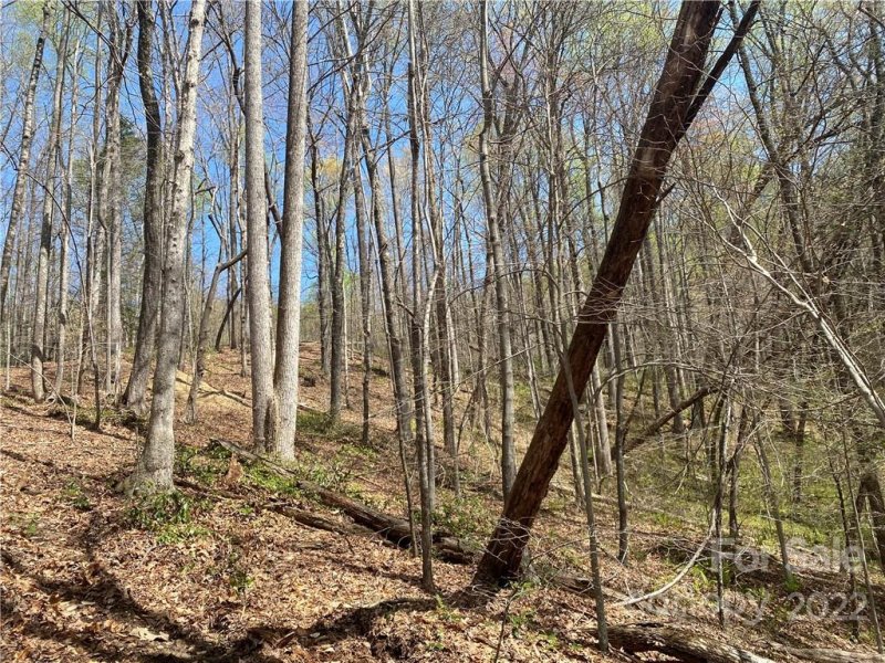 Property image 4 at Lot 58 Mountain Crest Drive, Marion, NC 28752