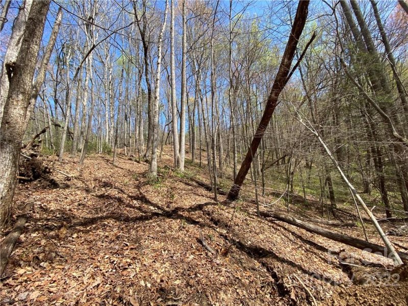 Property image 5 at Lot 58 Mountain Crest Drive, Marion, NC 28752