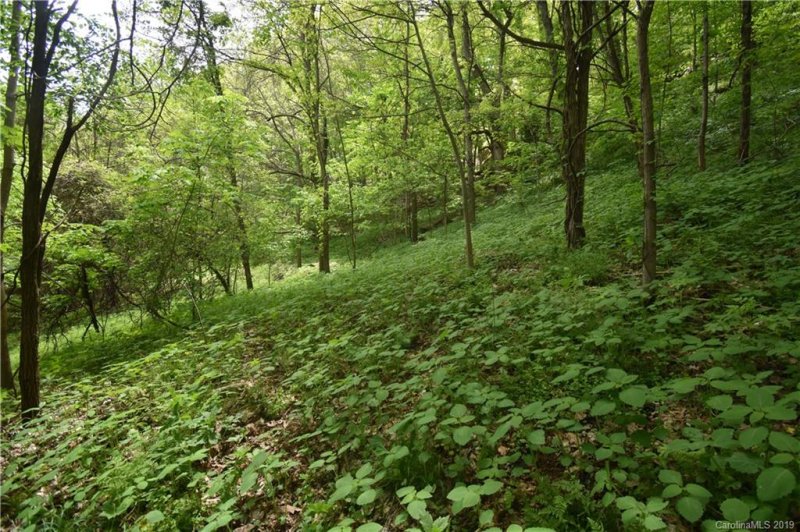 Property image 4 at 11 High Cliff Road, Waynesville, NC 28786